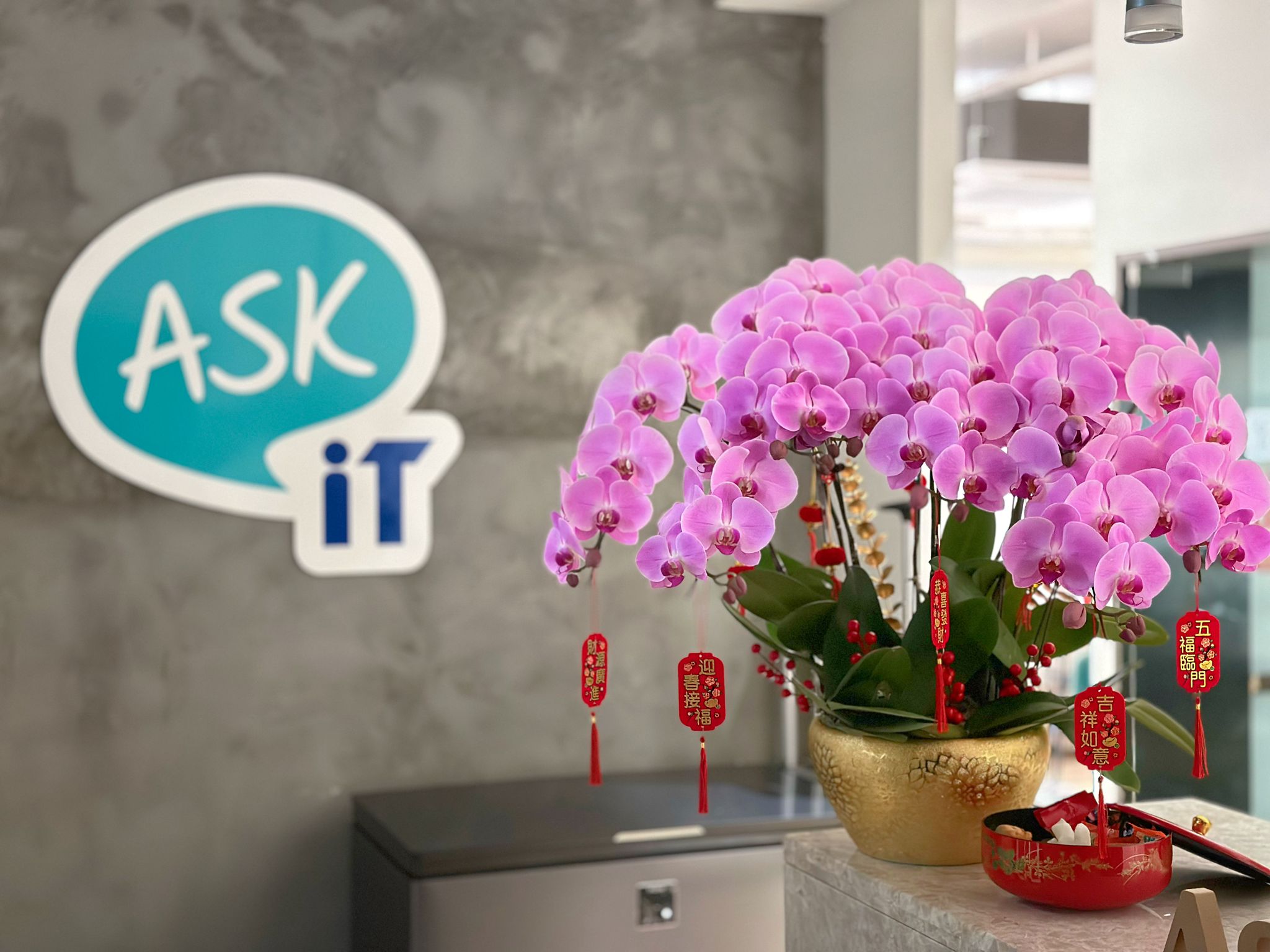Happy Chinese New Year Flower
